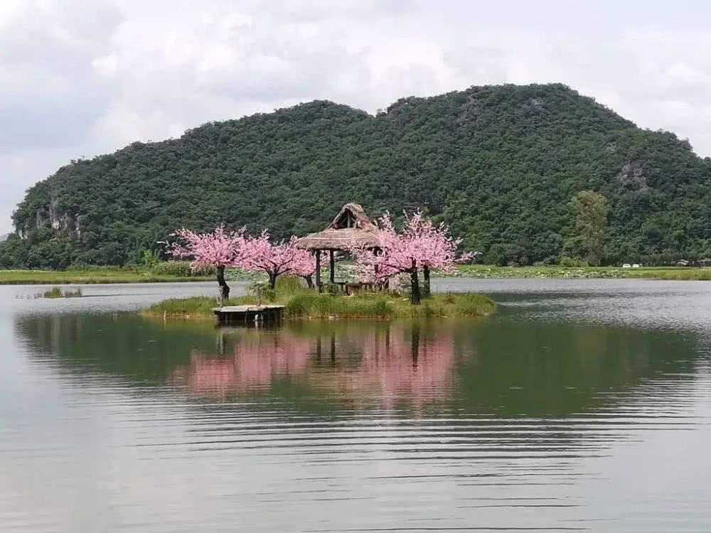 三生三世國(guó)外最新消息