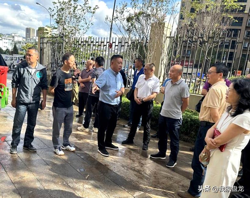 盤龍城垃圾中轉(zhuǎn)站最新消息，進展、影響與展望