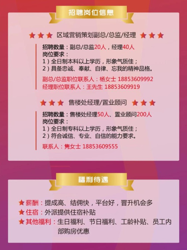 中意人才網(wǎng)最新招聘動態(tài)，探索職業(yè)發(fā)展的無限可能