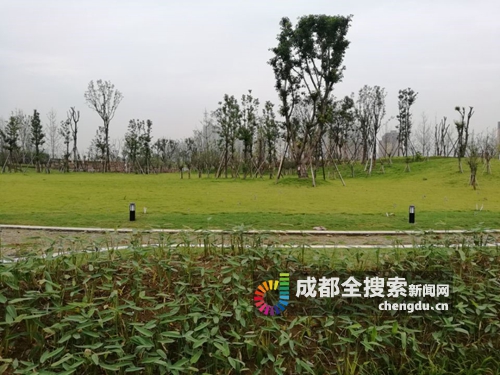 成華圣燈公園最新進展，一座城市綠肺的嶄新面貌