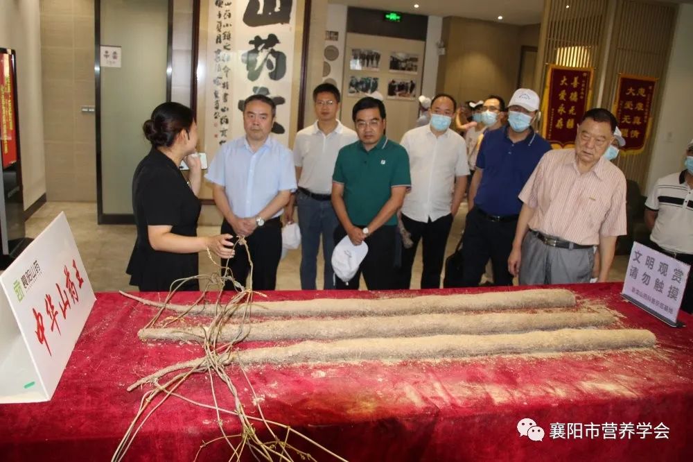 襄陽(yáng)市組織部最新任免動(dòng)態(tài)，領(lǐng)導(dǎo)層的新調(diào)整與未來(lái)展望