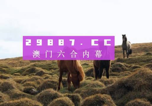 新澳門開獎結(jié)果2024開獎記錄,澳門新開獎結(jié)果及未來開獎展望，探索2024年的開獎記錄