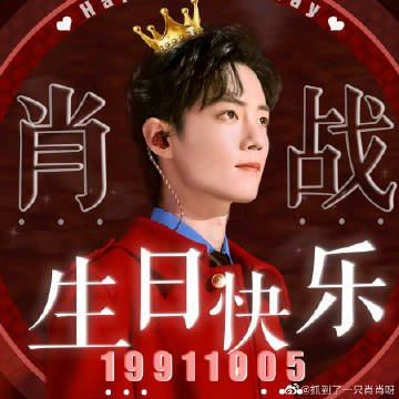 一肖一碼一一肖一子,一肖一碼一一肖一子，探尋背后的神秘與魅力