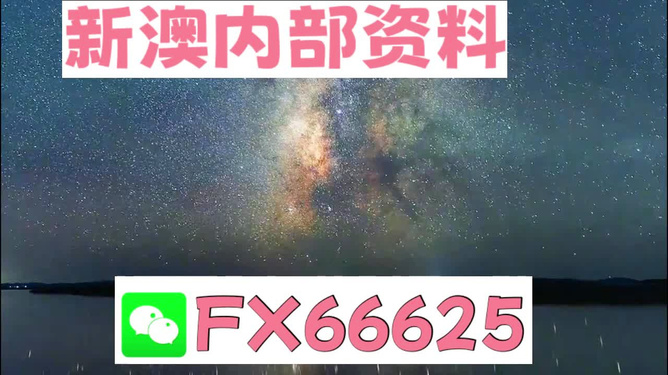 2024新澳天天免費資料,揭秘2024新澳天天免費資料，探索背后的秘密與價值