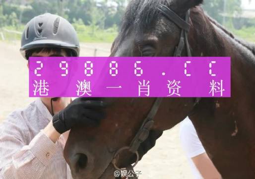 澳門一肖一碼一必中一肖,澳門一肖一碼一必中一肖，揭示背后的犯罪問題