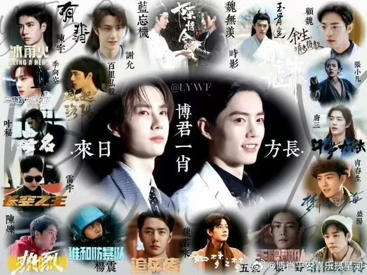 一肖一碼一一肖一子,一肖一碼一一肖一子，探尋背后的神秘與魅力