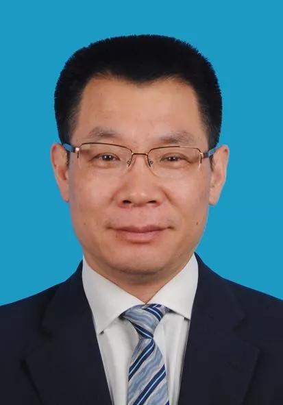 新奧2024年免費資料大全,新奧2024年免費資料大全，探索與啟示