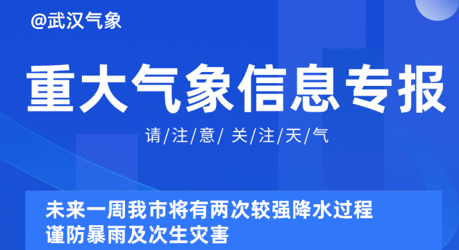 2024新奧精準(zhǔn)正版資料,探索未來(lái)，揭秘2024新奧精準(zhǔn)正版資料的價(jià)值與重要性