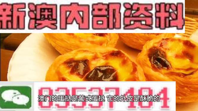 2024新澳最精準資料大全,2024新澳最精準資料大全——掌握最新信息，洞悉未來趨勢
