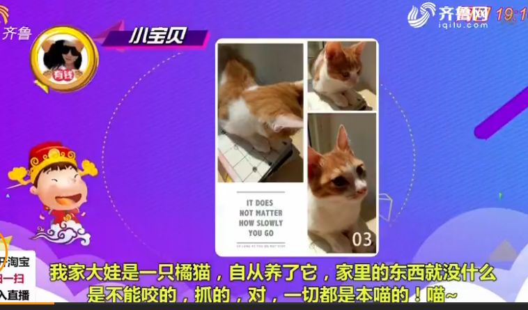 澳門一碼一肖一待一中四不像,澳門一碼一肖一待一中四不像，探索神秘與現(xiàn)實(shí)的交匯點(diǎn)