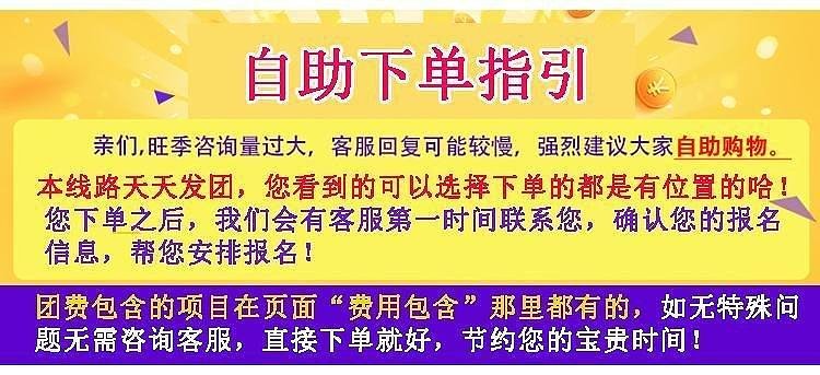 新澳門天天開好彩大全,新澳門天天開好彩背后的風(fēng)險與警示