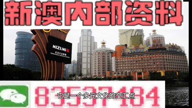 澳門高級(jí)內(nèi)部vip資料,澳門高級(jí)內(nèi)部VIP資料，犯罪行為的警示與反思