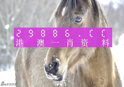 澳門精準(zhǔn)一肖一碼100%,澳門精準(zhǔn)一肖一碼100%，揭示犯罪背后的真相