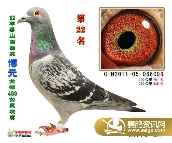 第2121頁
