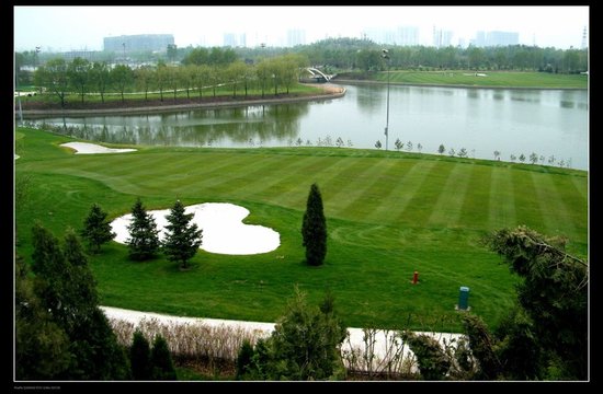 大同公園一號(hào)最新動(dòng)態(tài),大同公園一號(hào)最新動(dòng)態(tài)，城市綠肺的新篇章
