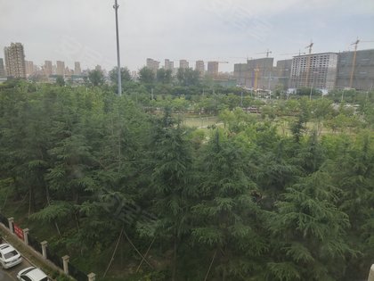 第2076頁(yè)