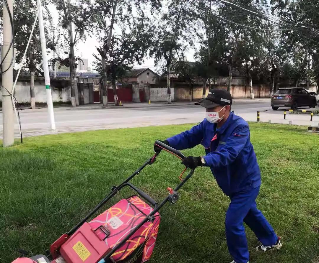 香溪雅地最新房價,香溪雅地最新房價動態(tài)，市場走勢與購房指南