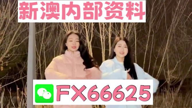 管家婆一碼一肖100中獎舟山,管家婆一碼一肖與舟山中獎傳奇