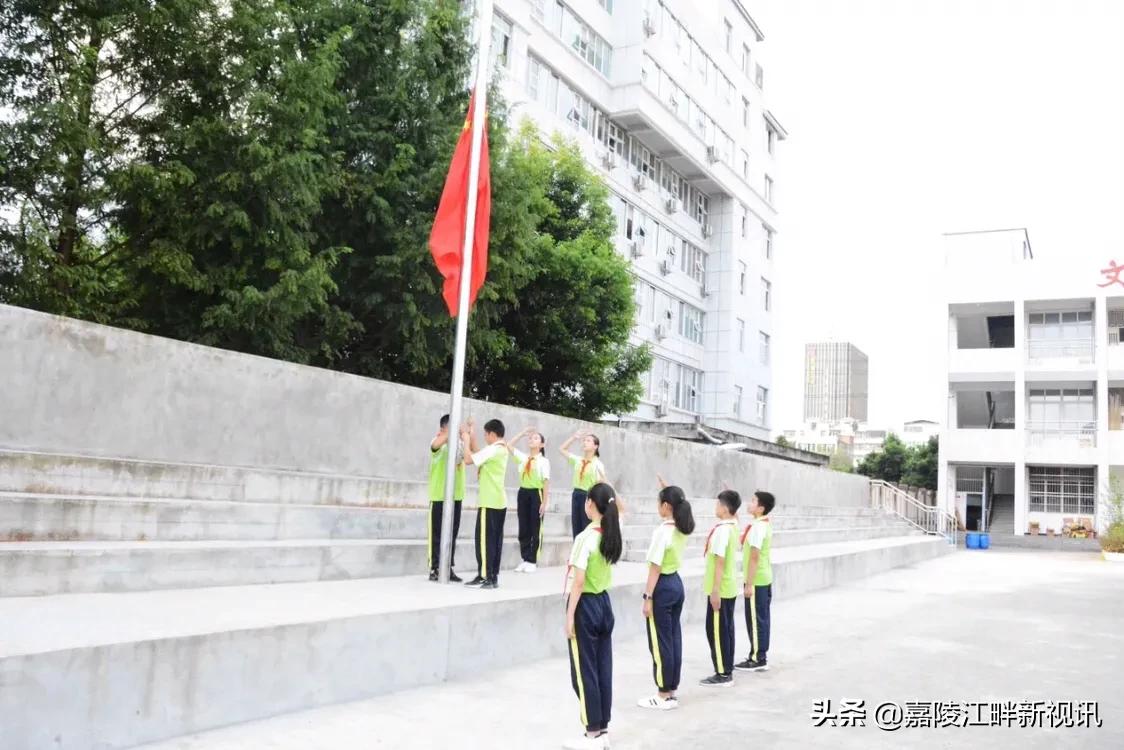 白小資料全年資料免費(fèi),白小資料全年資料免費(fèi)共享，助力學(xué)習(xí)成長(zhǎng)