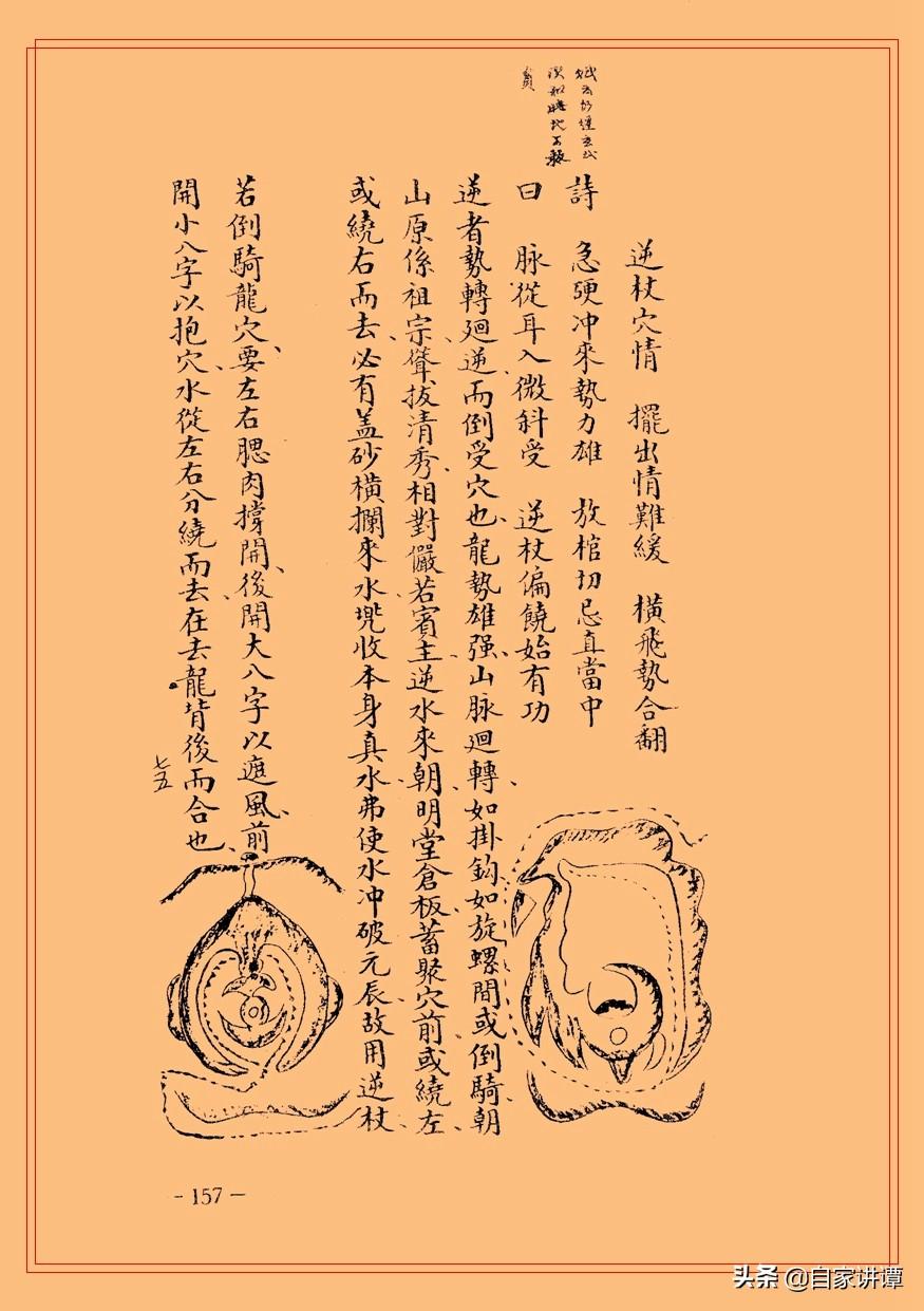 劉伯溫選一肖期期準(zhǔn)03期,劉伯溫選一肖期期準(zhǔn)03期，神秘預(yù)測(cè)與歷史文化交織的傳奇