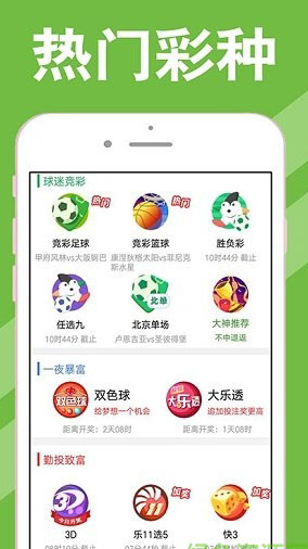新澳2025今晚開獎資料四不像,新澳2025今晚開獎資料四不像，深度解析與預(yù)測