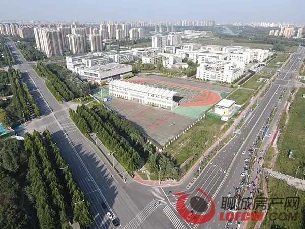 一碼一肖一特一中2025,一碼一肖一特一中與未來(lái)的預(yù)測(cè)，走向2025的洞察