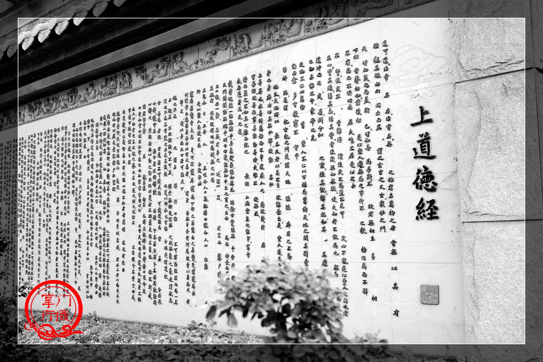 新聞頭條 第64頁