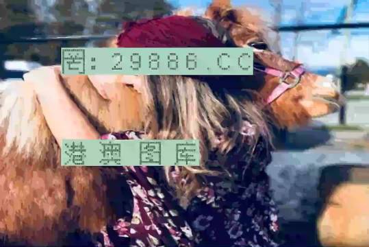 77777788888王中王跑狗軟件介紹,王中王跑狗軟件介紹，探索數(shù)字世界的777777與88888的魅力