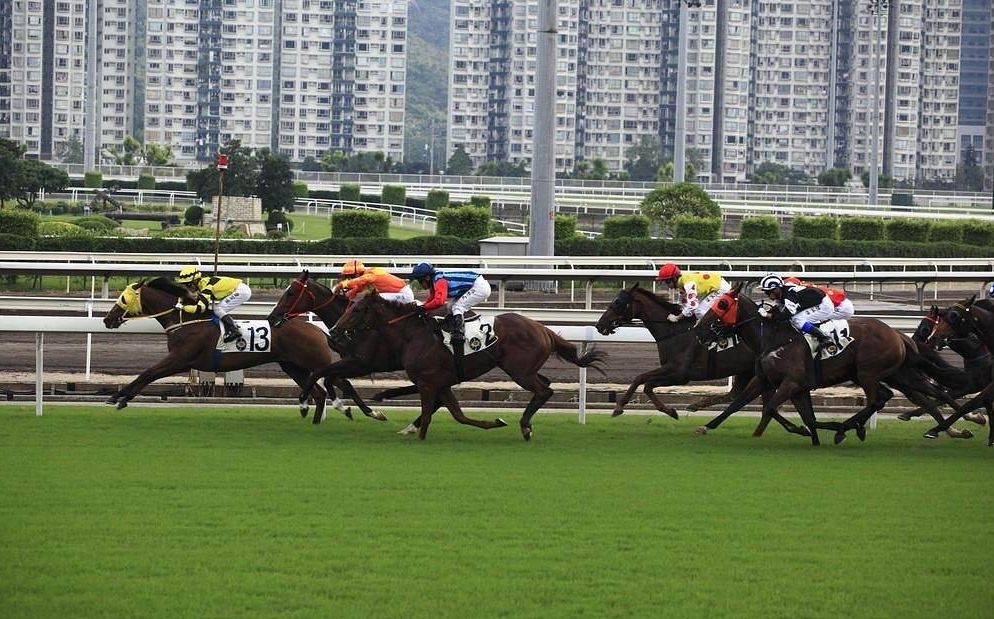 2025澳門買馬最準網站,澳門買馬最準網站——探索未來的賽馬預測與娛樂體驗