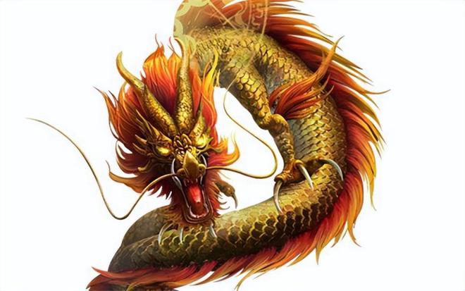 100%最準(zhǔn)的一肖,揭秘100%最準(zhǔn)的一肖，探尋命運(yùn)與生肖的神秘聯(lián)系