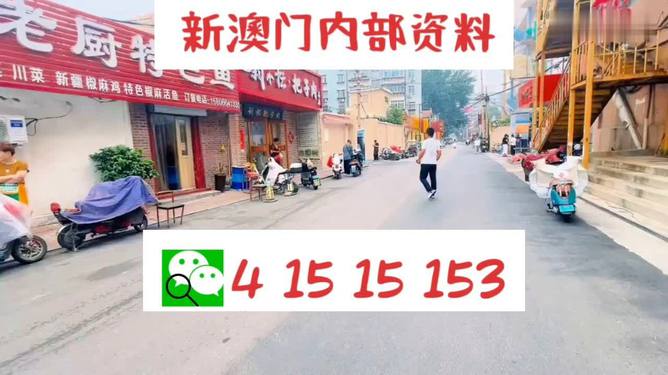 新澳門天天開好彩大全510期,新澳門天天開好彩大全第510期，探索彩票文化的魅力與機遇