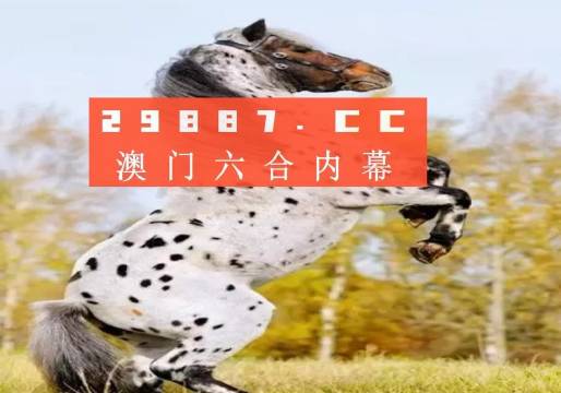 白小姐四不像一肖開(kāi)獎(jiǎng),白小姐四不像一肖開(kāi)獎(jiǎng)，神秘與魅力的交織