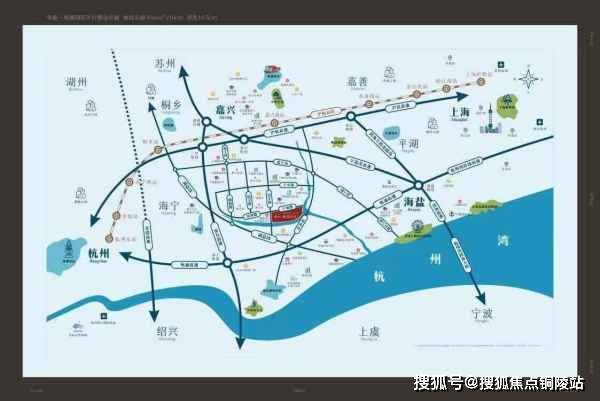澳門四不像論壇最新版,澳門四不像論壇最新版，探索與解析