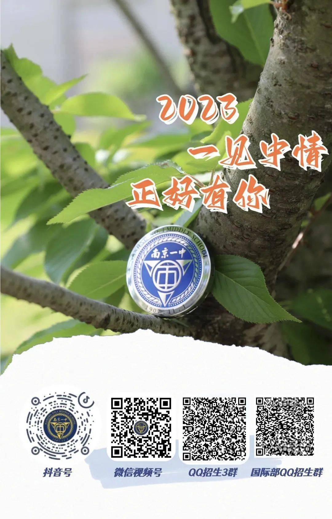 2025年一肖一碼一中一特,探索未來(lái)彩票奧秘，2025年一肖一碼一中一特
