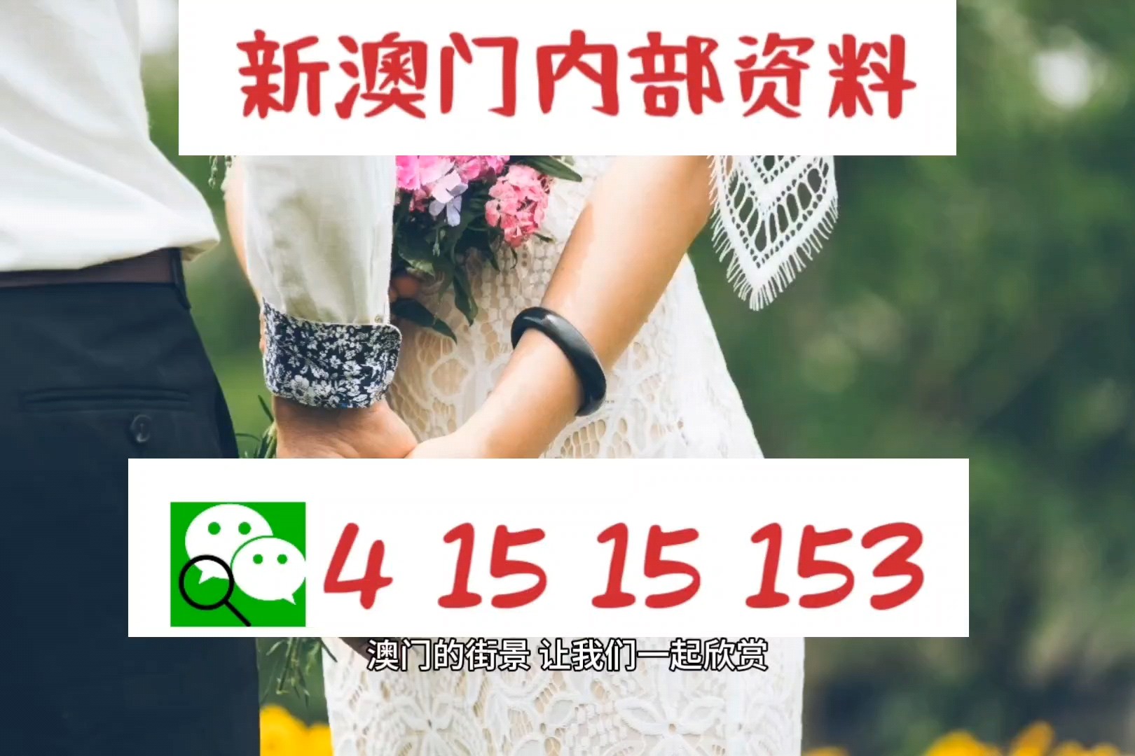 新澳門免費(fèi)大全資料查詢,新澳門免費(fèi)大全資料查詢，探索與解析
