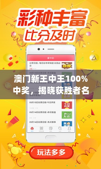 新澳門王中王王中王免費,新澳門王中王王中王免費，探索與解析