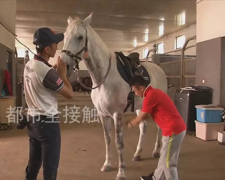 新澳今天開(kāi)什么特馬,新澳今日賽馬結(jié)果揭曉，探索賽馬運(yùn)動(dòng)的激情與魅力