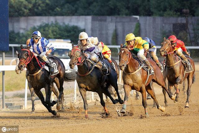 澳門今晚上開的什么特馬,澳門今晚的馬術(shù)賽事，速度與激情的盛宴