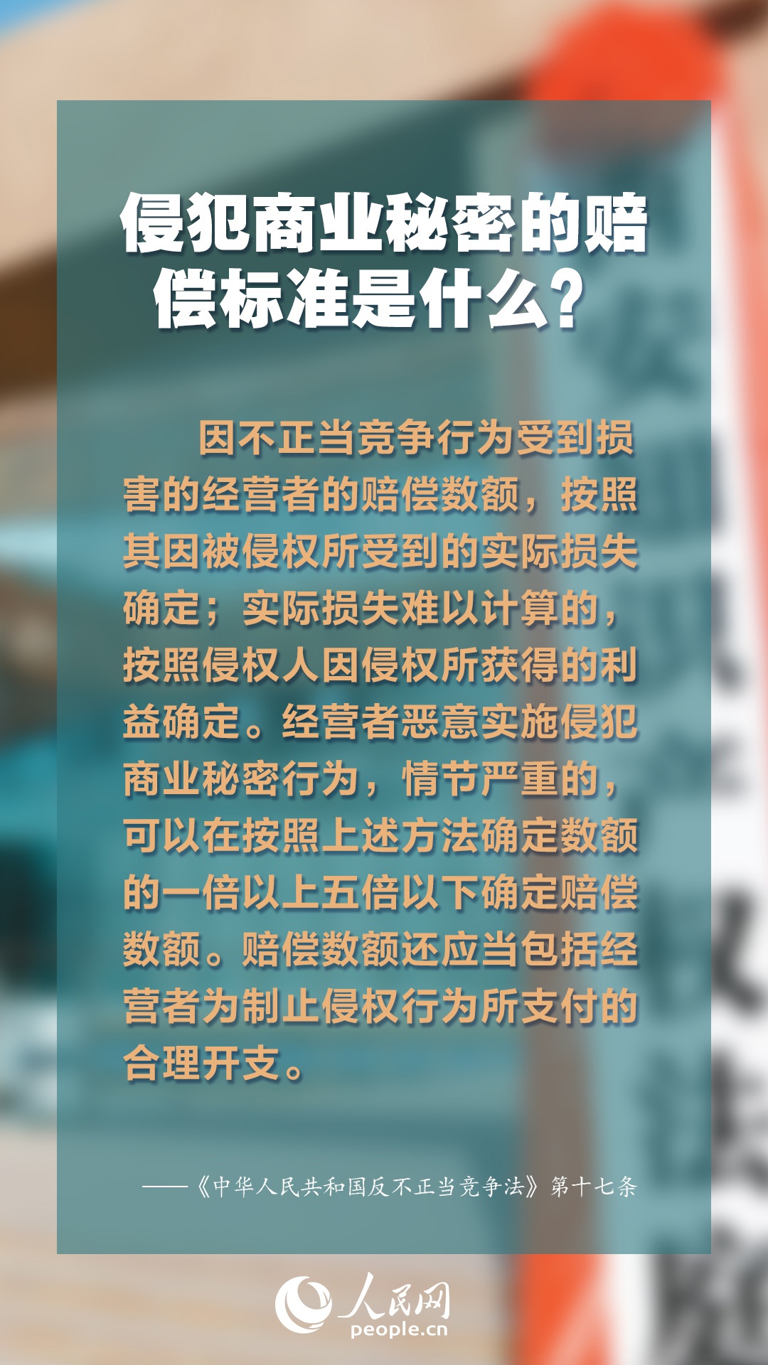 2025年正版免費資料大全最新版本,探索未來知識寶庫，2025正版免費資料大全最新版本概覽