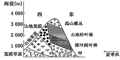 大地資源第二頁第三頁區(qū)別,大地資源的第二頁與第三頁，區(qū)別與洞察