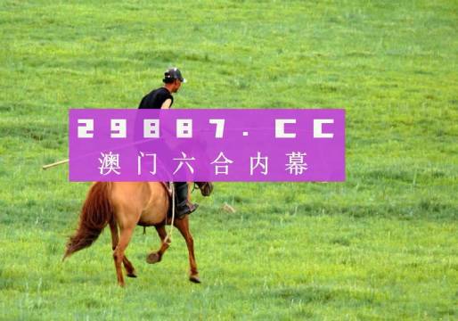 澳門天天好好免費資料,澳門天天好好免費資料，探索與體驗