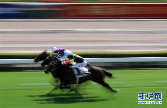 香港馬資料更新最快的,香港馬資料更新最快的地方，探索賽馬運(yùn)動(dòng)的最新動(dòng)態(tài)與資源