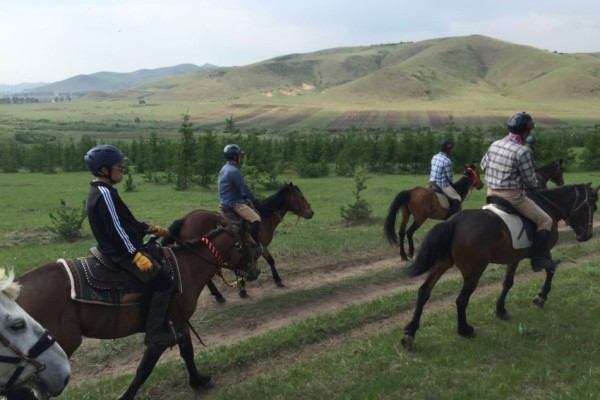 今晚澳門馬出什么特馬,今晚澳門馬會出什么樣的特馬？探索馬會神秘面紗下的秘密