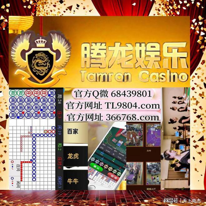 2025新澳門天天彩資料查詢,探索澳門博彩文化，2025新澳門天天彩資料查詢